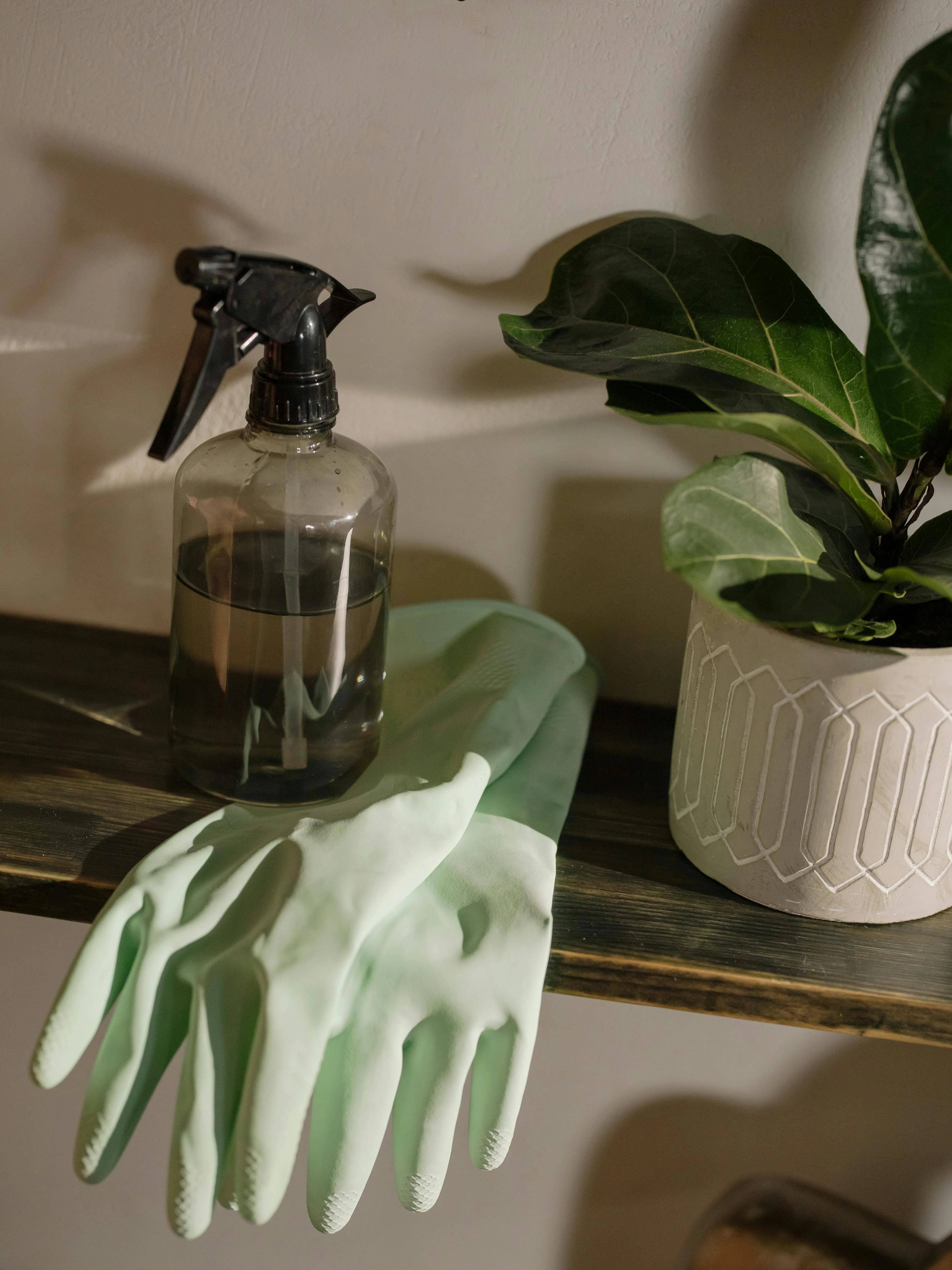 Eco-friendly green cleaning gloves, spray bottle and plant in a Bellevue home