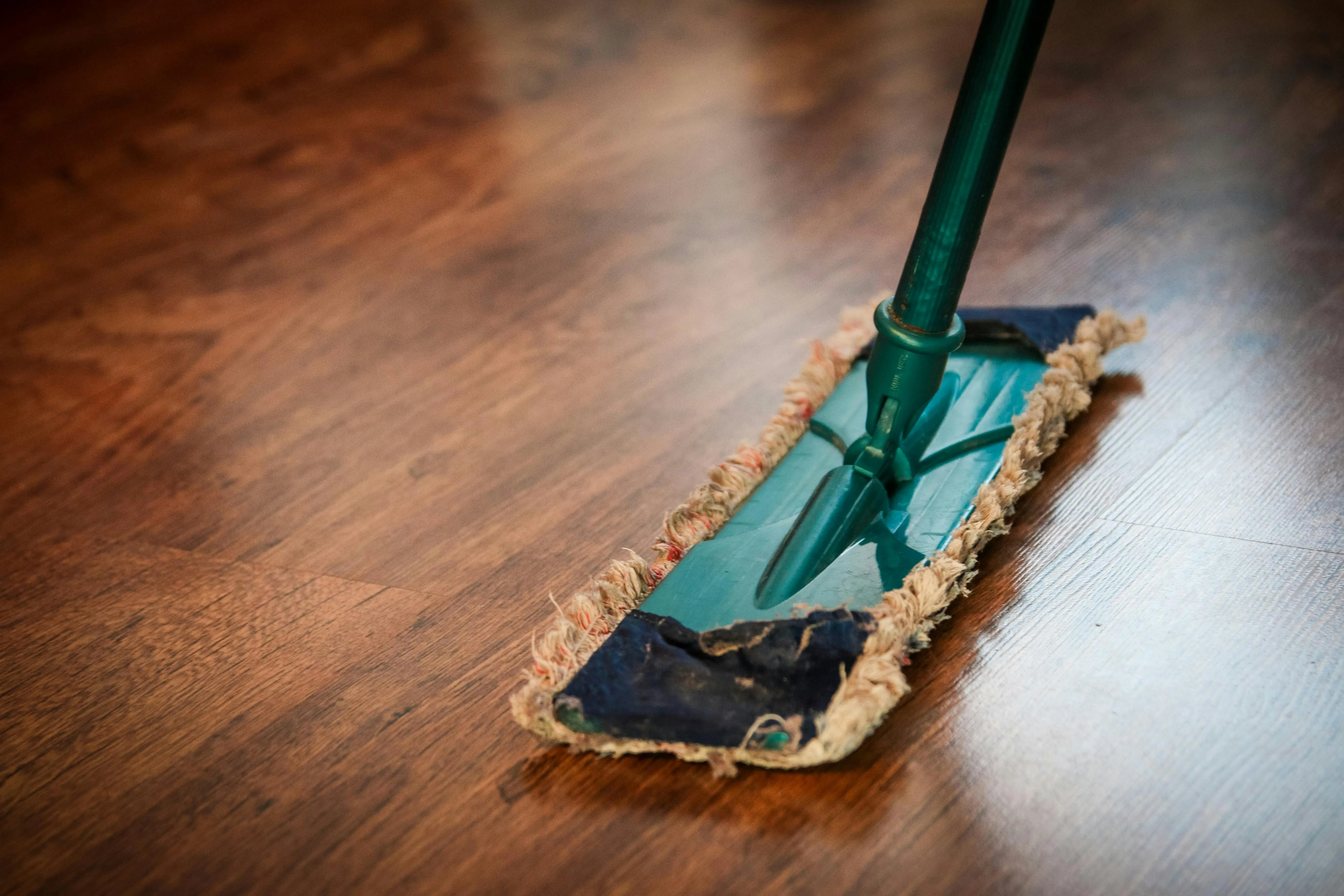 Mopping a hardwood floor during a regular house cleaning in Bellevue